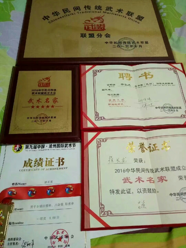 各种武术证书
